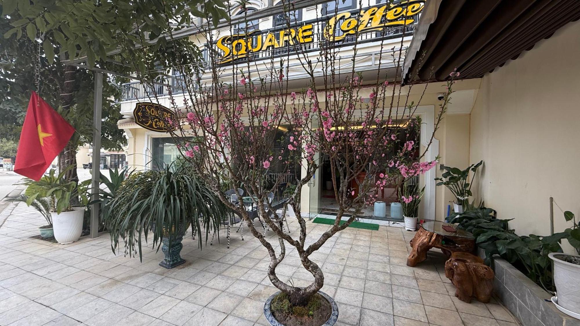 Square Homestay & Coffee Bac Ha  Zewnętrze zdjęcie